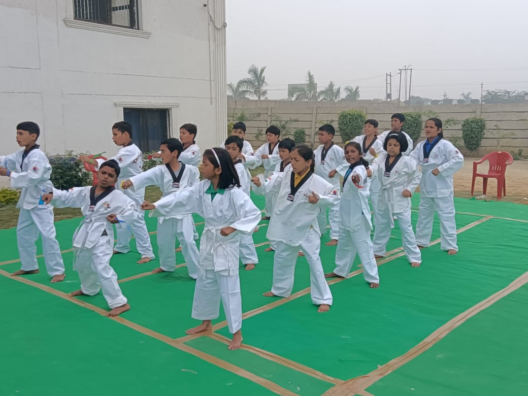 Karate activity